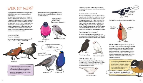 Buchcover und Innenansicht für das Buch: Omnibird
