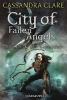 Buchcover und Innenansicht für das Buch: City of Fallen Angels