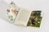 Buchcover und Innenansicht für das Buch: Gekommen, um zu bleiben