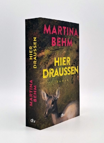 Buchcover und Innenansicht für das Buch: Hier draußen