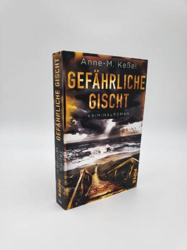 Buchcover und Innenansicht für das Buch: Gefährliche Gischt