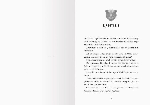 Buchcover und Innenansicht für das Buch: Spellcraft Band 2
