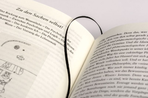 Buchcover und Innenansicht für das Buch: Mache die Welt