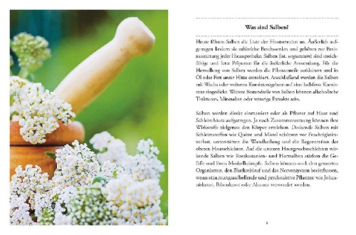 Buchcover und Innenansicht für das Buch: Das große kleine Buch: Heilsalben aus Wald und Wiese