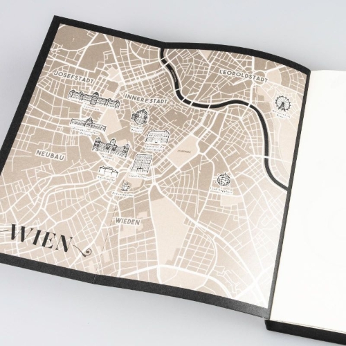 Buchcover und Innenansicht für das Buch: Vienna 1: Blinding Lights