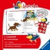 Buchcover und Innenansicht für das Buch: Leserabe 1. Lesestufe - Schulgeschichten mit Hund Floh