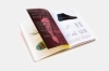 Buchcover und Innenansicht für das Buch: Nike: Better is Temporary