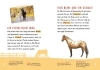 Buchcover und Innenansicht für das Buch: Dein Lesestart - Pferde und Ponys