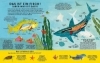 Buchcover und Innenansicht für das Buch: There are Fish Everywhere