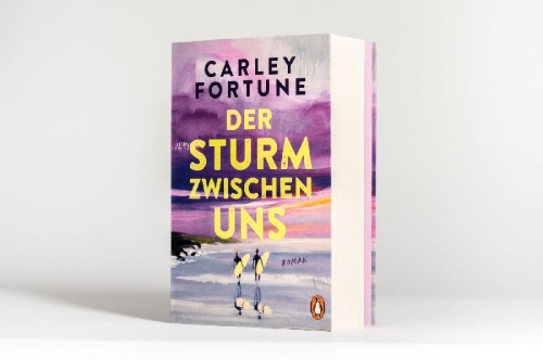 Buchcover und Innenansicht für das Buch: Our Perfect Storm