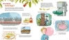 Buchcover und Innenansicht für das Buch: WAS IST WAS Junior Wo wächst Ketchup?