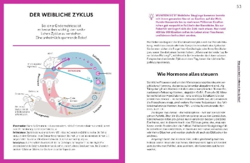Buchcover und Innenansicht für das Buch: Let's talk about Endometriose