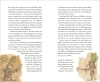 Buchcover und Innenansicht für das Buch: Die Königsbraut und Das fremde Kind