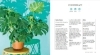 Buchcover und Innenansicht für das Buch: Grow in the Dark