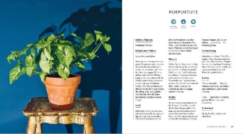 Buchcover und Innenansicht für das Buch: Grow in the Dark