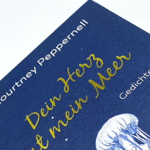 Buchcover und Innenansicht für das Buch: Pillow Thoughts