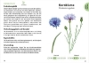 Buchcover und Innenansicht für das Buch: Le Petit guide des plantes médicinales