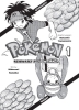 Buchcover und Innenansicht für das Buch: Pokémon Schwarz 2 und Weiss 2