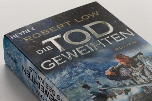 Buchcover und Innenansicht für das Buch: Beasts beyond the Wall (Brothers of the Sand 1)
