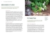 Buchcover und Innenansicht für das Buch: Heimische Pflanzen für den Garten
