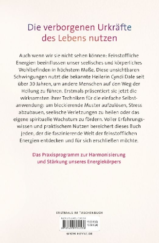 Buchcover und Innenansicht für das Buch: Subtle Energy Techniques