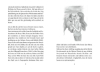 Buchcover und Innenansicht für das Buch: Die Ponys von Lillasund 4. Das Mittsommer-Turnier