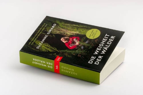 Buchcover und Innenansicht für das Buch: Finding the Mother Tree