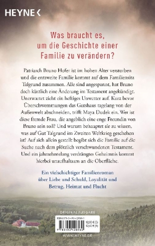 Buchcover und Innenansicht für das Buch: Das Erbe von Talgrund