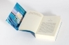 Buchcover und Innenansicht für das Buch: ONE GOLDEN SUMMER