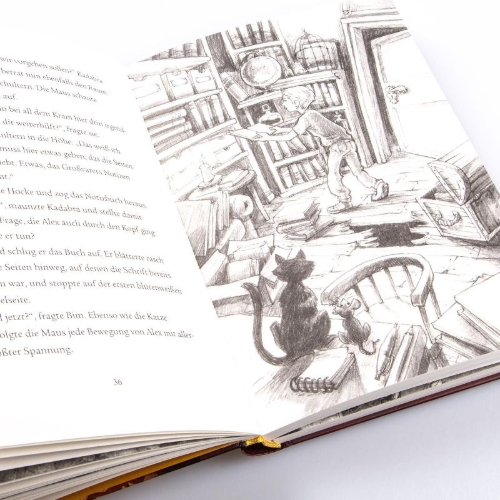 Buchcover und Innenansicht für das Buch: Im Zeichen der Zauberkugel 4: Das Geheimnis des Drachen