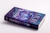 Buchcover und Innenansicht für das Buch: Very Secret Society Of Irregular Witches