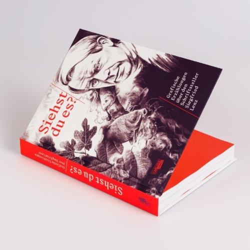 Buchcover und Innenansicht für das Buch: Siehst du es? Grafische Erzählungen über den Schriftsteller Siegfried Lenz