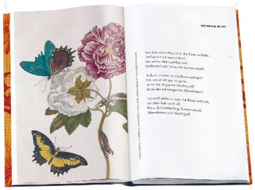 Buchcover und Innenansicht für das Buch: »Mit einem zarten Flügelschlag«