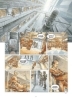 Buchcover und Innenansicht für das Buch: On Mars_