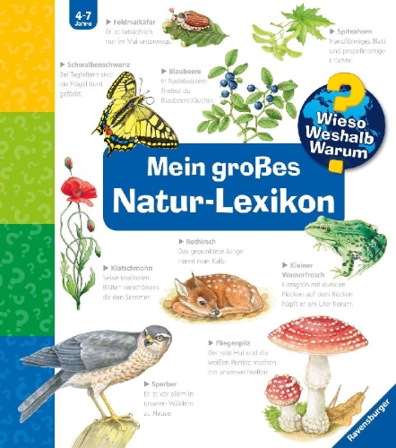 Buchcover und Innenansicht für das Buch: Wieso? Weshalb? Warum?: Mein großes Natur-Lexikon