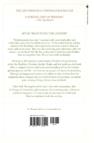 Buchcover und Innenansicht für das Buch: After the Ecstasy, the Laundry