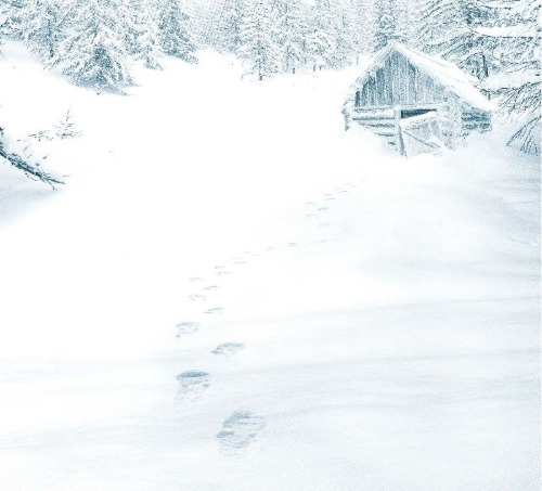 Buchcover und Innenansicht für das Buch: Kant und der sechste Winter