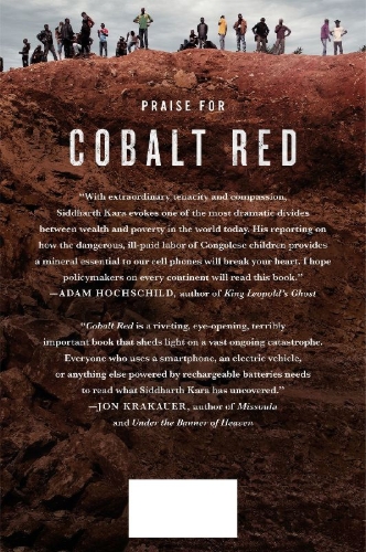Buchcover und Innenansicht für das Buch: Cobalt Red