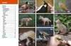 Buchcover und Innenansicht für das Buch: Einfach Tiere schnitzen