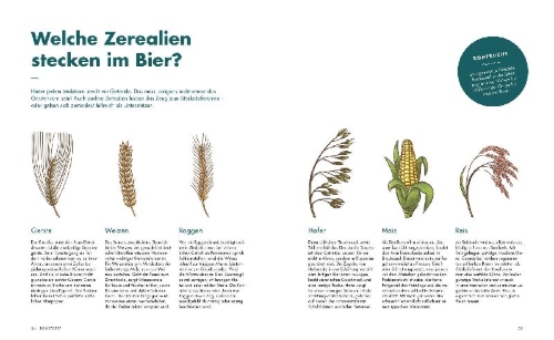 Buchcover und Innenansicht für das Buch: Der ultimative Brau-Guide