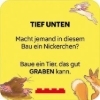 Buchcover und Innenansicht für das Buch: LEGO® - Rebuild Karten - Tiere