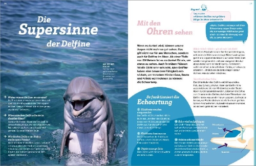 Buchcover und Innenansicht für das Buch: WAS IST WAS Delfine. Immer im Team