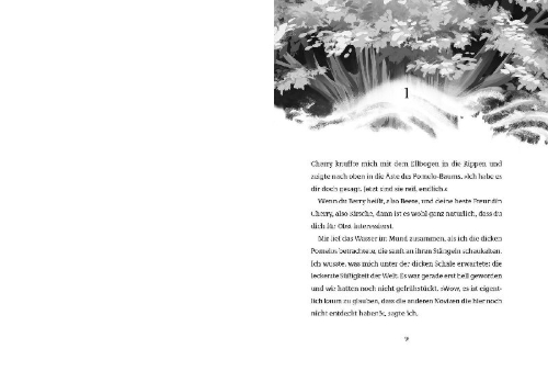 Buchcover und Innenansicht für das Buch: Legends of Lotus Island #02, Into the shadow mist - Band 02 von 04