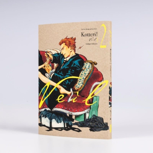 Buchcover und Innenansicht für das Buch: Veil