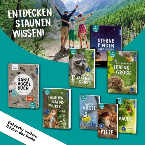 Buchcover und Innenansicht für das Buch: Sterne finden ganz einfach