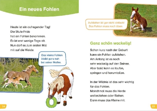 Buchcover und Innenansicht für das Buch: WAS IST WAS Erstes Lesen easy! Komm mit zu den Pferden