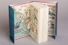 Buchcover und Innenansicht für das Buch: Night of the Dragon
