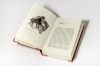 Buchcover und Innenansicht für das Buch: The Penguin Book of Penguins: An Expert's Guide to the World's Most Beloved Bird