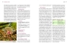 Buchcover und Innenansicht für das Buch: Handbuch Bio-Obst