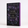 Buchcover und Innenansicht für das Buch: Where Bad Boys are Ruined